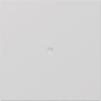 GIRA 3490015 Wippe gerade Kontroll- 