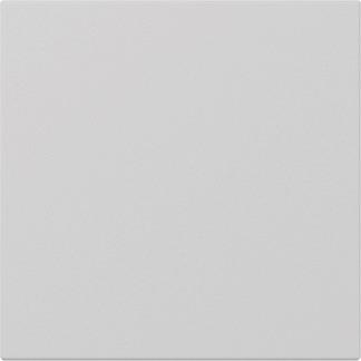 GIRA 3496015 Wippe gerade System 55 