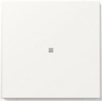 GIRA 349066 Wippe gerade Kontrollfenster 