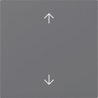 GIRA 361628 Wippe Pfeile System 55 