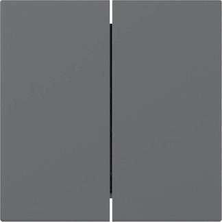 GIRA 349528 Wippe 2fach gerade System 55 
