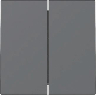 GIRA 329528 Wippe 2fach System 55 
