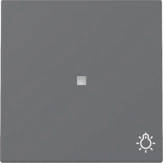 GIRA 367428 Wippe Kontrollfenster+Symbol 