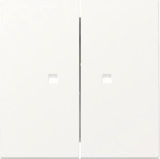 GIRA 363127 Wippe 2fach Kontrollfenster 