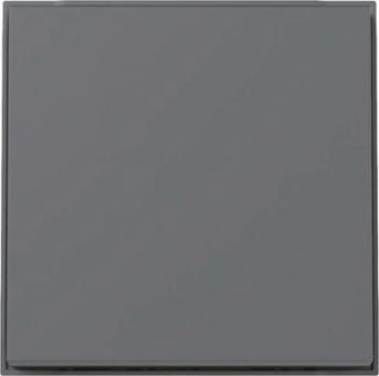 GIRA 329667 Wippe TX_44 WG UP Anthrazit 