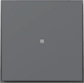GIRA 349067 Wippe gerade Kontrollfenster 
