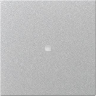 GIRA 349026 Wippe gerade Kontrollfenster 