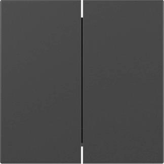 GIRA 3495005 Wippe 2fach gerade 