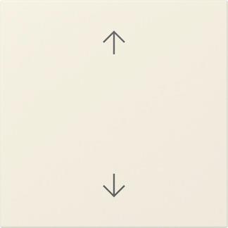 GIRA 361601 Wippe Pfeile System 55 
