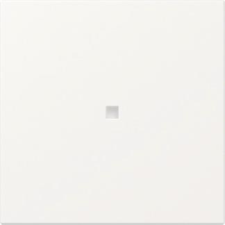 GIRA 349027 Wippe gerade Kontrollfenster 