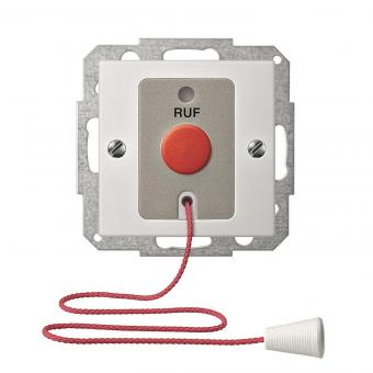 Merten Ruftastereinsatz     MEG4850-0319 