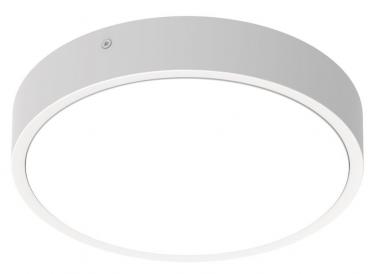 LEDV BULKHEAD RD IP65 IK10 ws D=250mm 