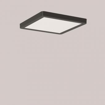 RZB TRIXY square 14...22W    901723.0031 