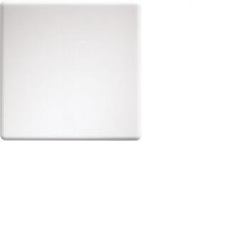 Eltako Wippe f.Funktaster u. W-F2T55E-pg 