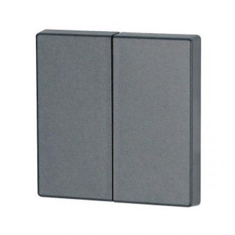 EATON CWIZ-02/04 Wippe 2fach      126049 
