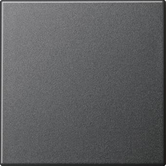 GIRA 029628 Wippe System 55 Anthrazit 