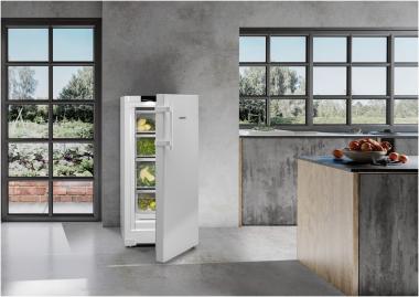 Liebherr RBa30 425i Kühlschrank 