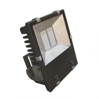 LeuchTek FLS2-50W-WW LED          131220 