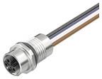 Murrelektronik M12      MSWBLFV-T997_1.0 