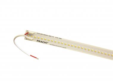 Pracht 5552309_LED-Modul_ONE 