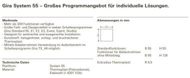 GIRA 329003 Wippe Kontrollfenster 
