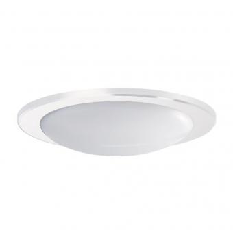 RIDI DKV5 235 W Kunstglas        0202749 