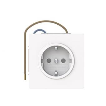 BJ SCHUKO  Steckdose       20 EUCBLI-44G 