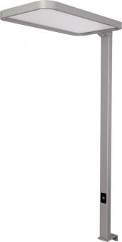 DOTLUX LED Tischleuchte      4331-130240 