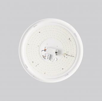 DOTLUX LED-Leuchte           3670-499160 