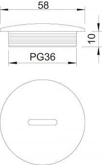 OBO 108 PG36 Verschlussschraube PG36 PS 