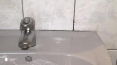 BEKO TecLine Schimmelentferner   2999500 