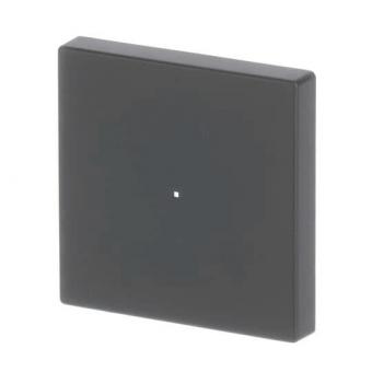BJ Wippe 1f schwarz matt     6230-10-885 