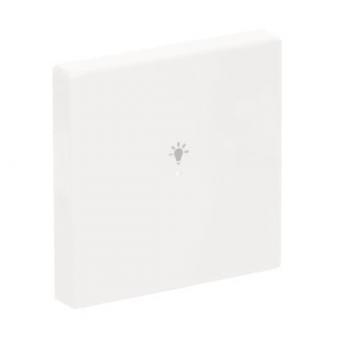 BJ Wippe 1-fach Symbol Licht  6231-10-84 