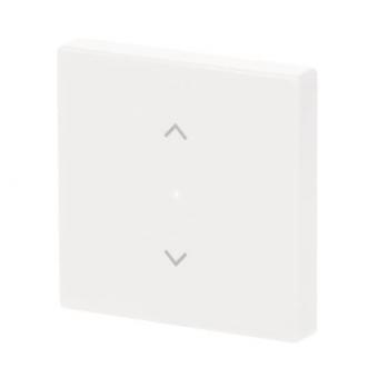BJ Wippe 1-fach Symbol        6232-10-84 