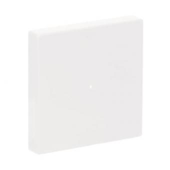 BJ Wippe 1-fach               6230-10-84 