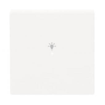 BJ Wippe 1-fach Symbol Licht  6231-10-84 