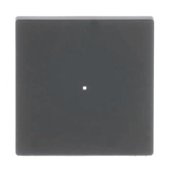 BJ Wippe 1f schwarz matt     6230-10-885 