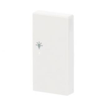 BJ Wippe rechts 2-fach Symbol 6231-22-84 
