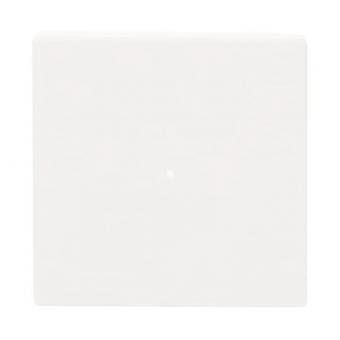 BJ Wippe 1-fach               6230-10-84 