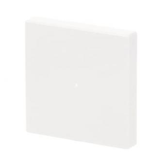 BJ Wippe 1-fach               6230-10-84 
