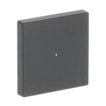 BJ Wippe 1f schwarz matt     6230-10-885 