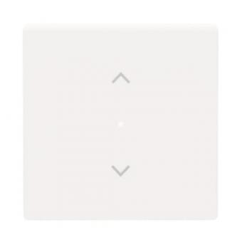 BJ Wippe 1-fach Symbol        6232-10-84 