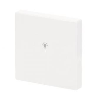 BJ Wippe 1-fach Symbol Licht  6231-10-84 