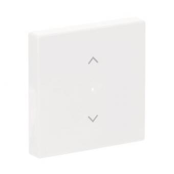 BJ Wippe 1-fach Symbol        6232-10-84 