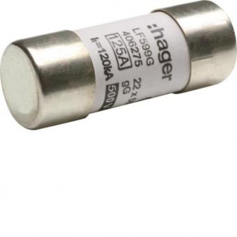 Hager Sicherungseinsatz 22x58mm   LF599G 