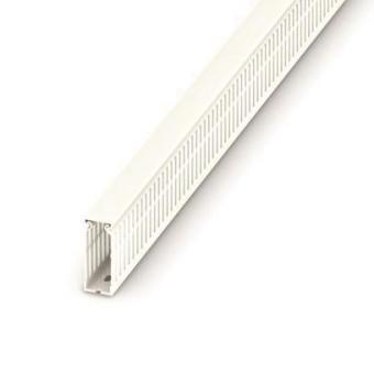 Phoenix 3240618              CD 25X60 WH 