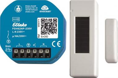 Eltako Funk        FDH62NP-230V +FTKB-rw 