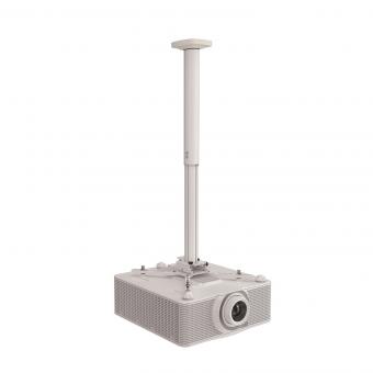 Kindermann Premium MA 100 ws  7460000101 