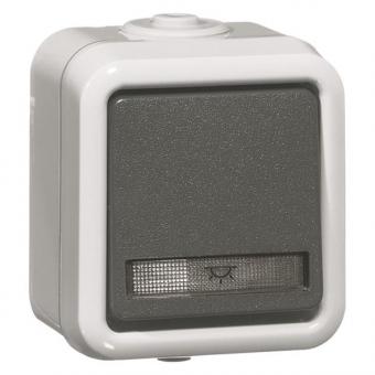 PEHA Taster AP               D 655/4 WAB 