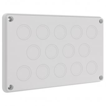 ABN Leitungseinführungsplatte IP55 NLP21 
